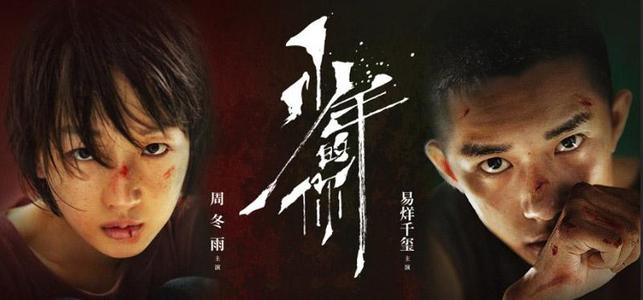 安科纳音乐学院 Sociological degree